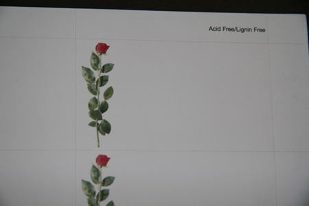 rose-notecards