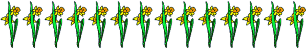 daffodils